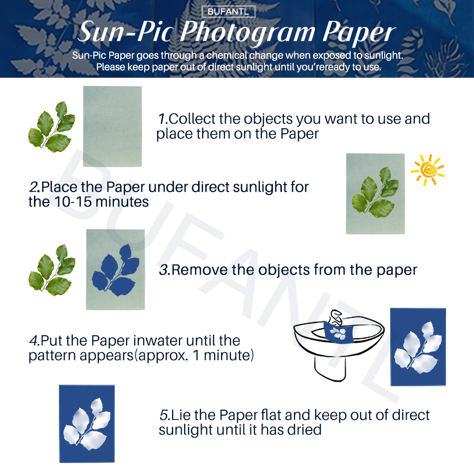 Cyanotype Paper 12 Sheets Refi - Lighting In Photography For Beginners ulasan dan harga