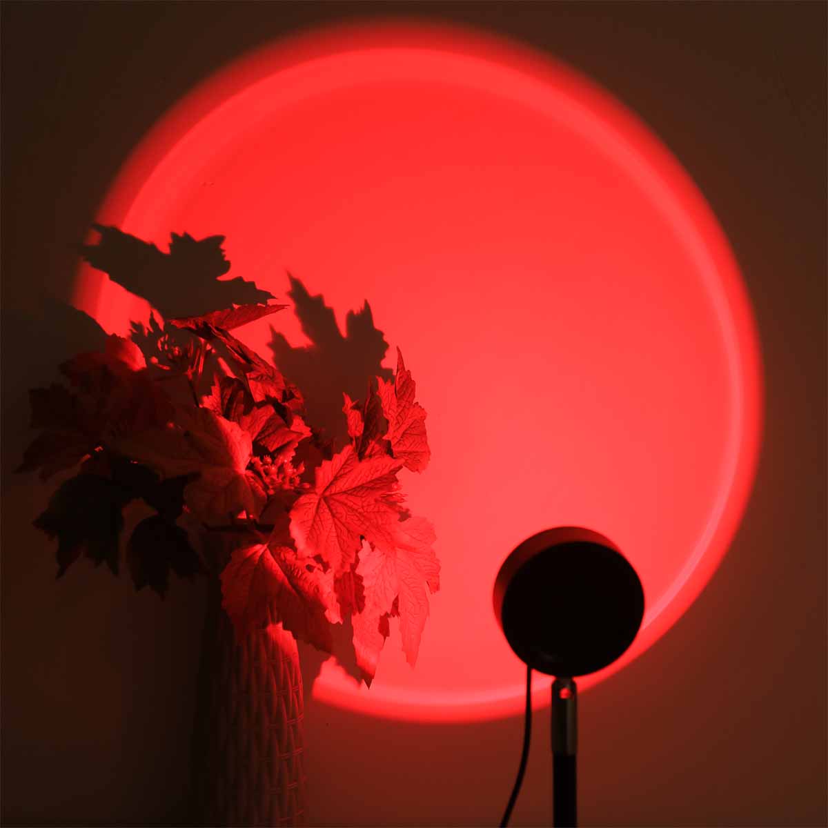 Sunset Projection Light Remote - Photography Lighting Setup ulasan dan harga
