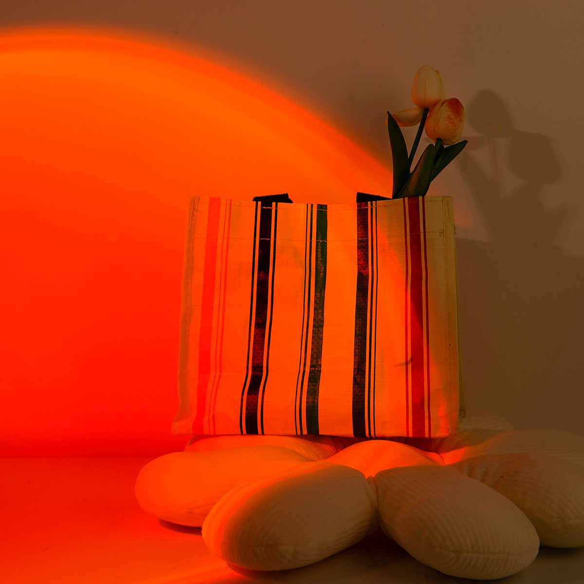Sunset Projection Light Remote - Photography Lighting Setup ulasan dan harga